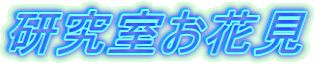 Ԍ 